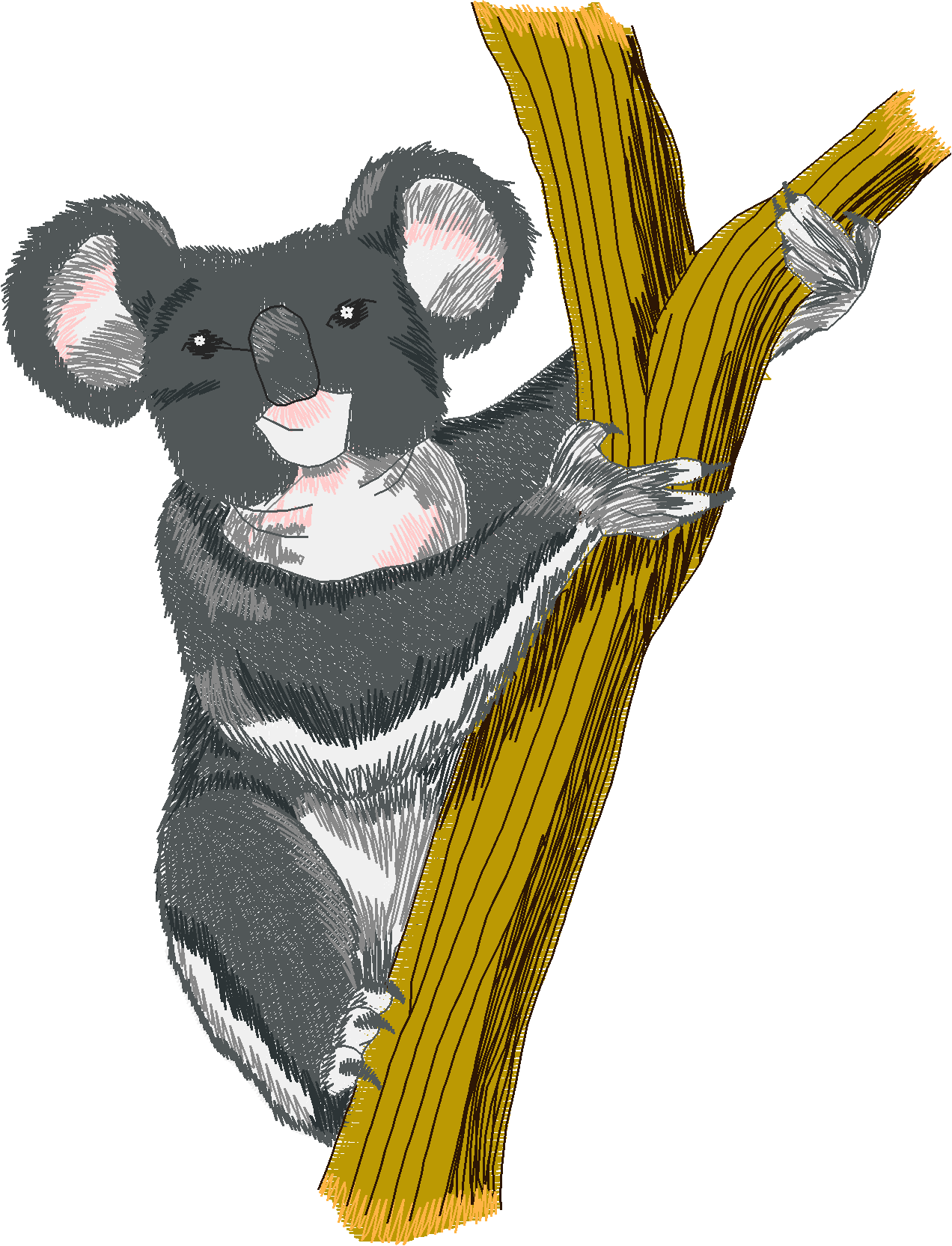 Jumbo - Pandas & Koalas 1  (5)