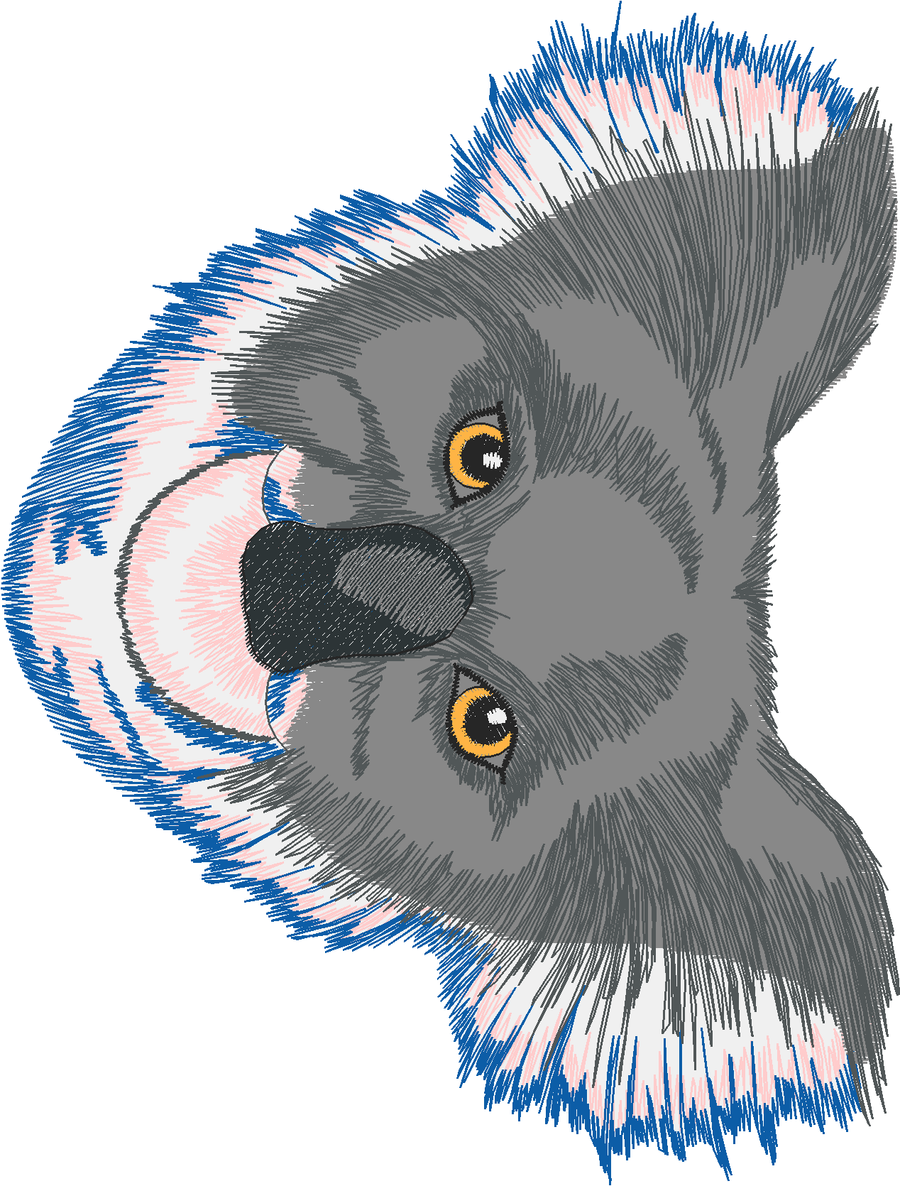 Jumbo - Pandas 1  (2)