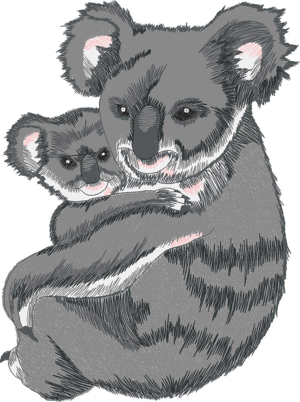 Jumbo - Pandas 1  (6)