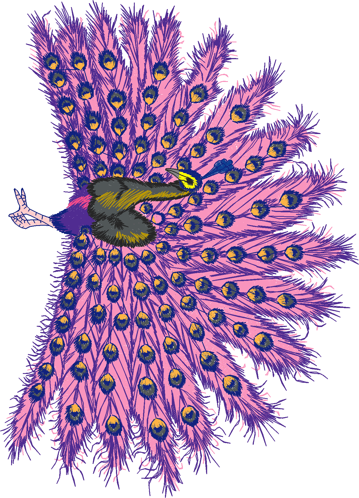 Jumbo - Peacocks 1  (11)