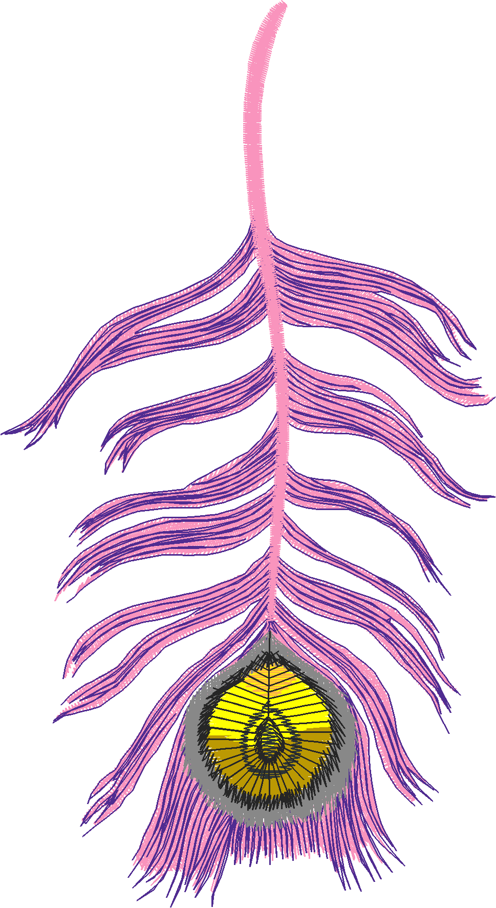 Jumbo - Peacocks 1  (4)