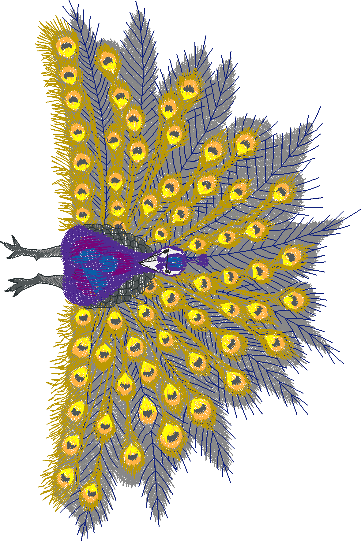 Jumbo - Peacocks 1  (9)