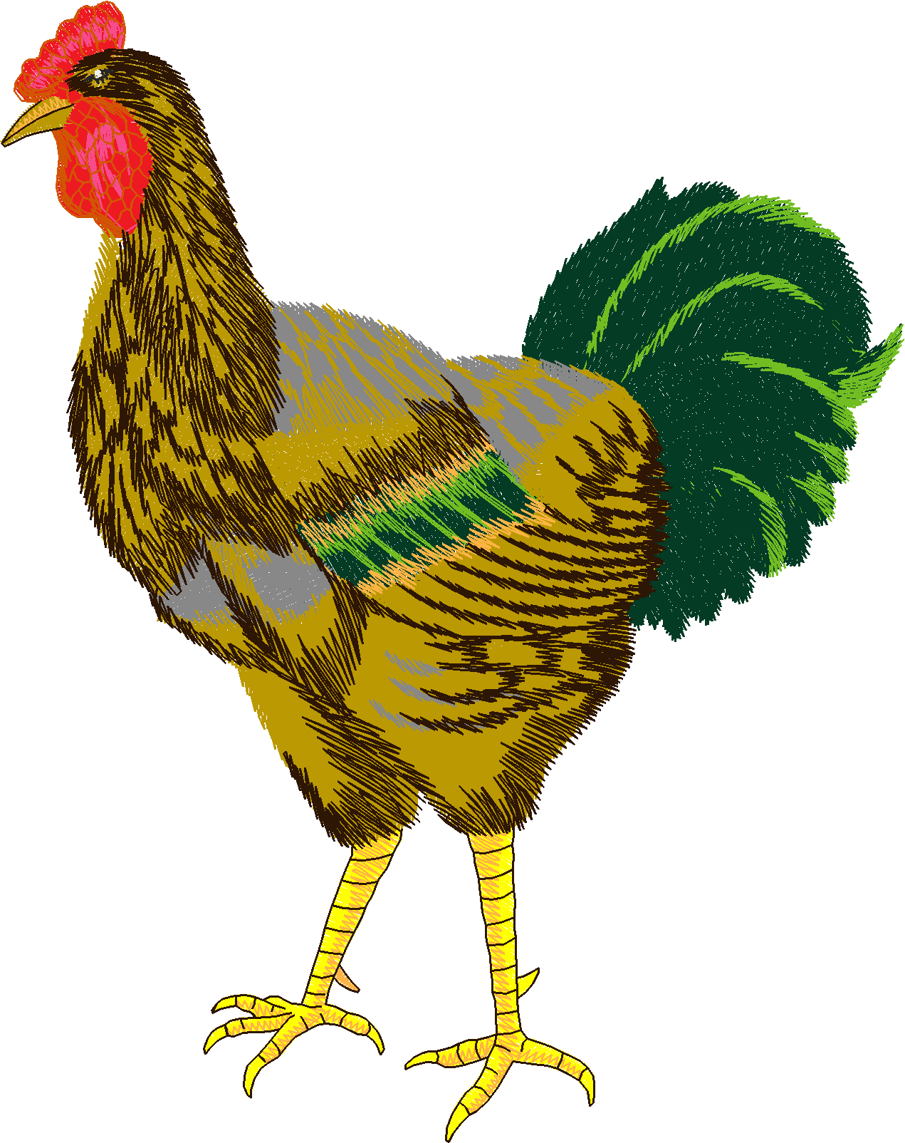 Jumbo - Rooster 1  (13)