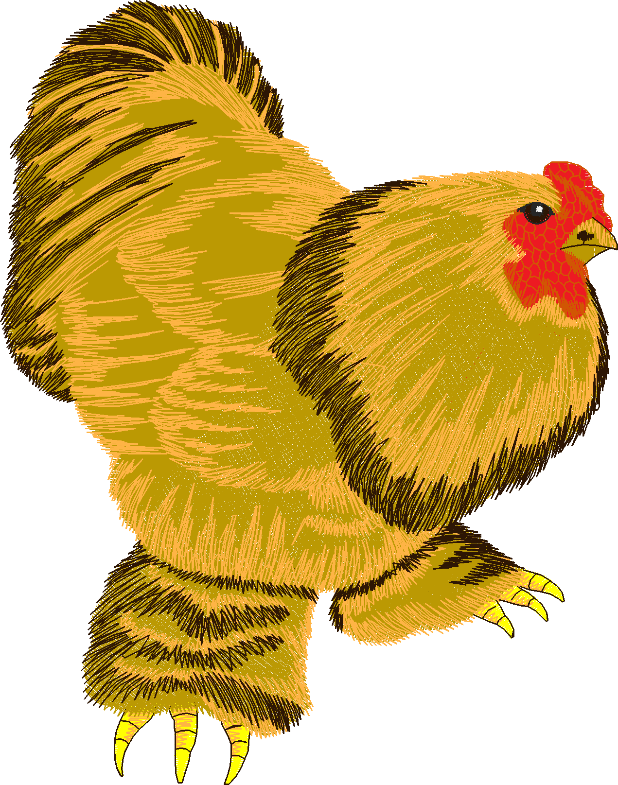 Jumbo - Rooster 1  (4)