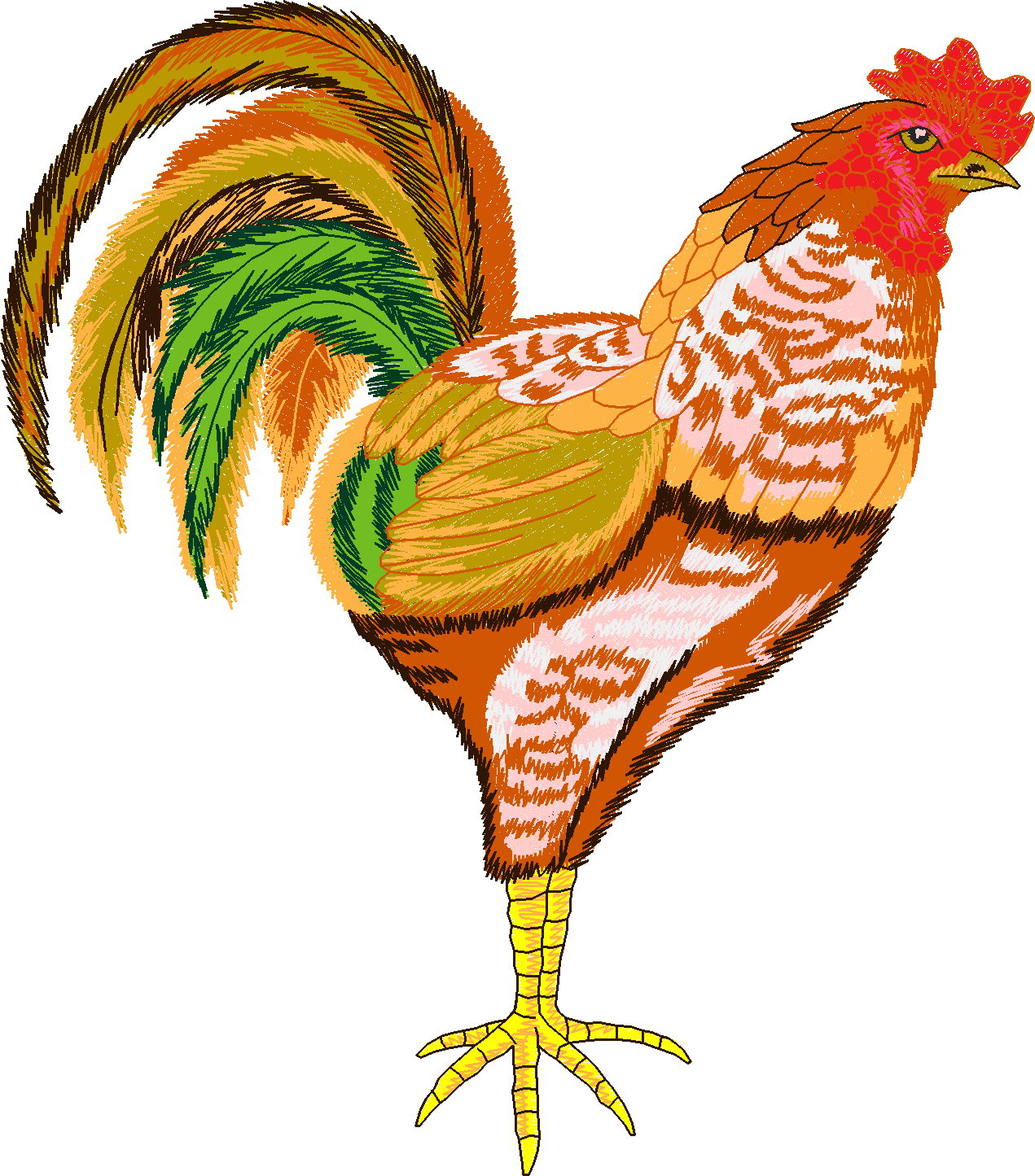 Jumbo - Rooster 1  (6)