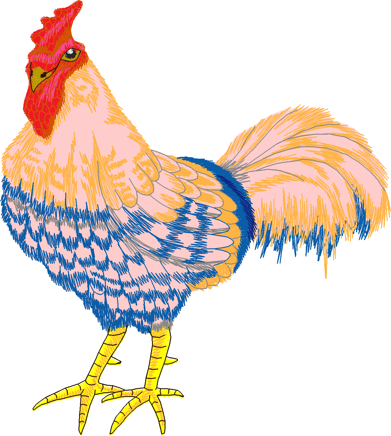 Jumbo - Rooster 1  (8)