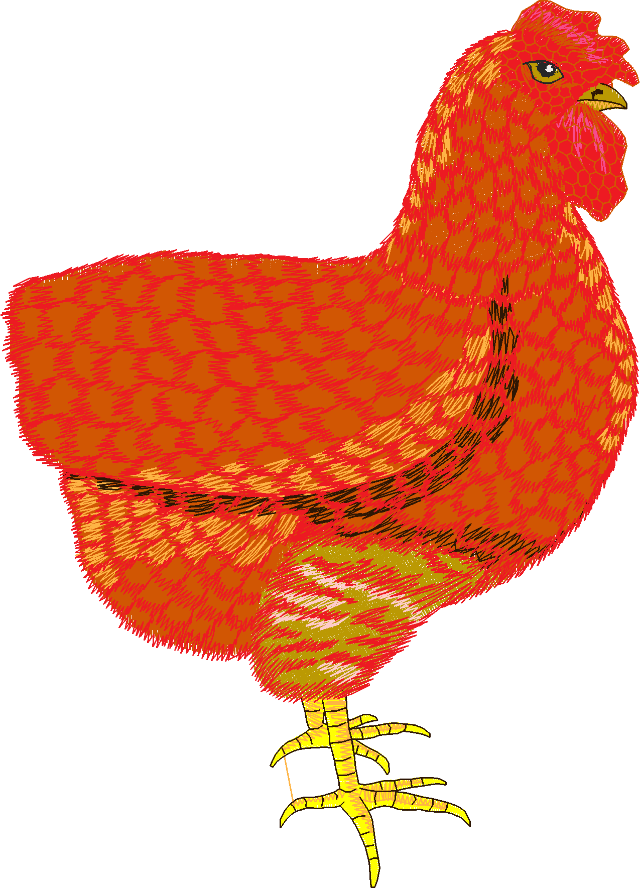 Jumbo - Rooster 1  (9)