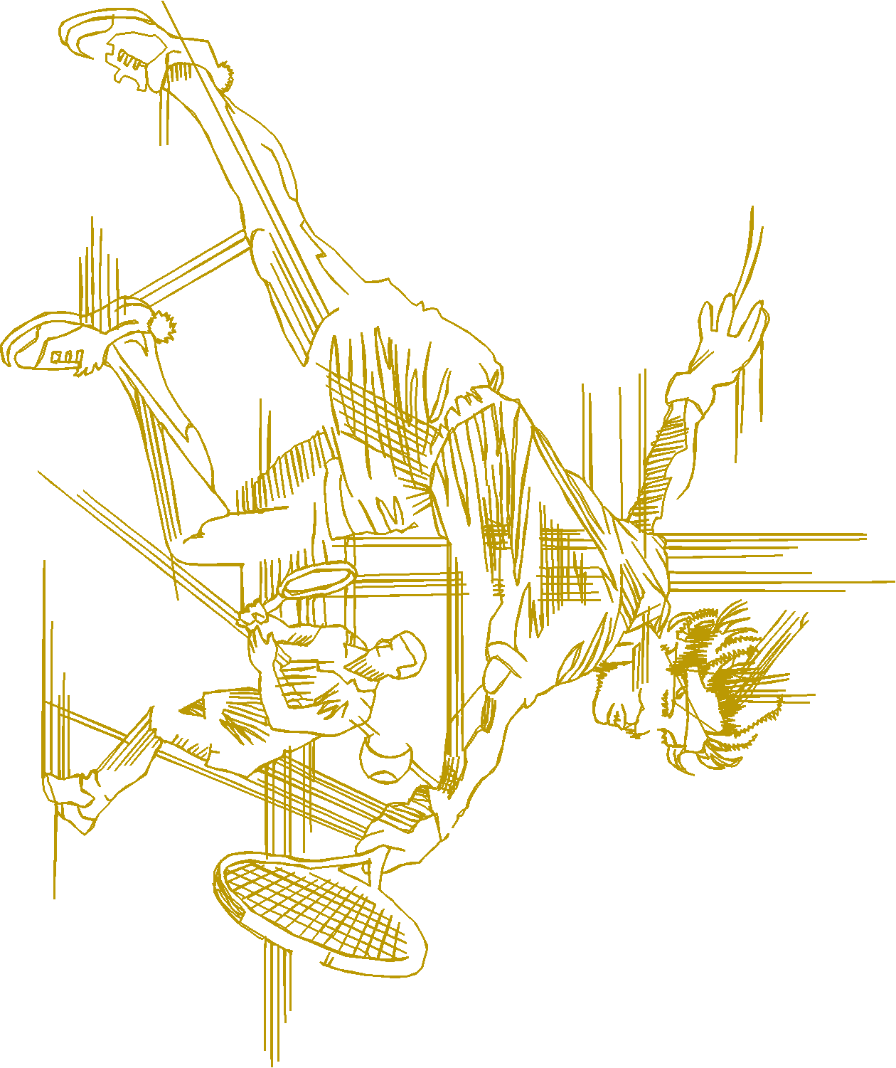 Jumbo - Sports 1  (11)