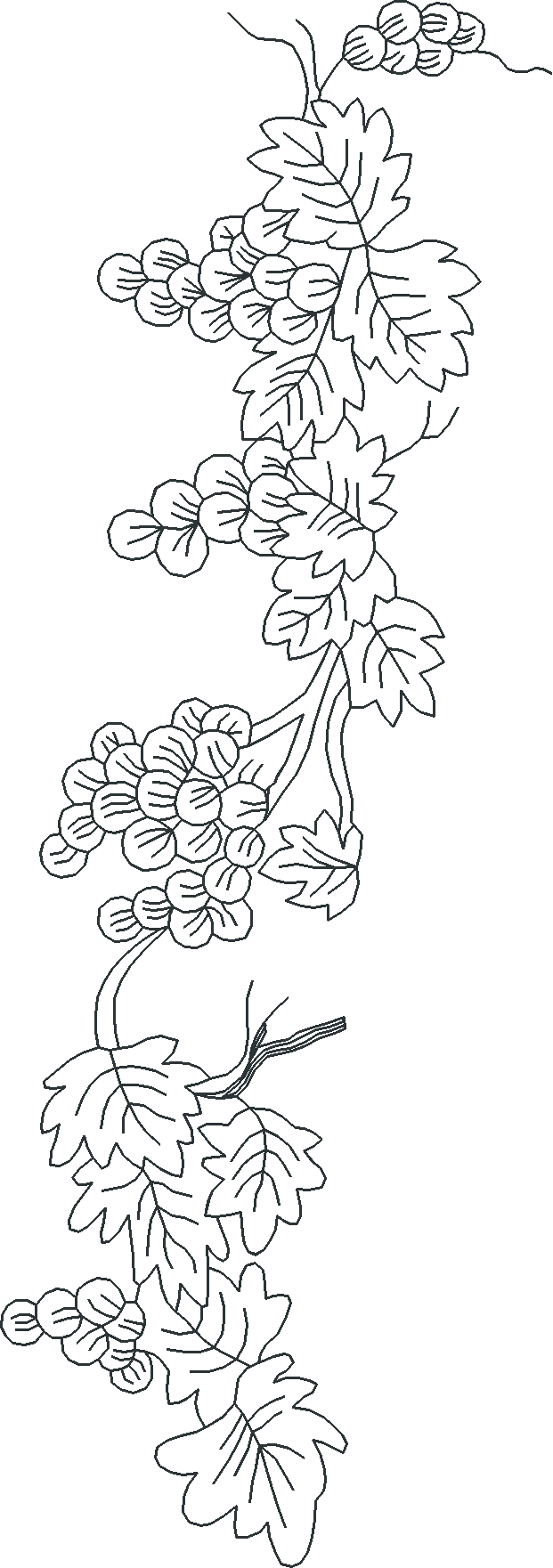 Jumbo - Toile 1  (1)