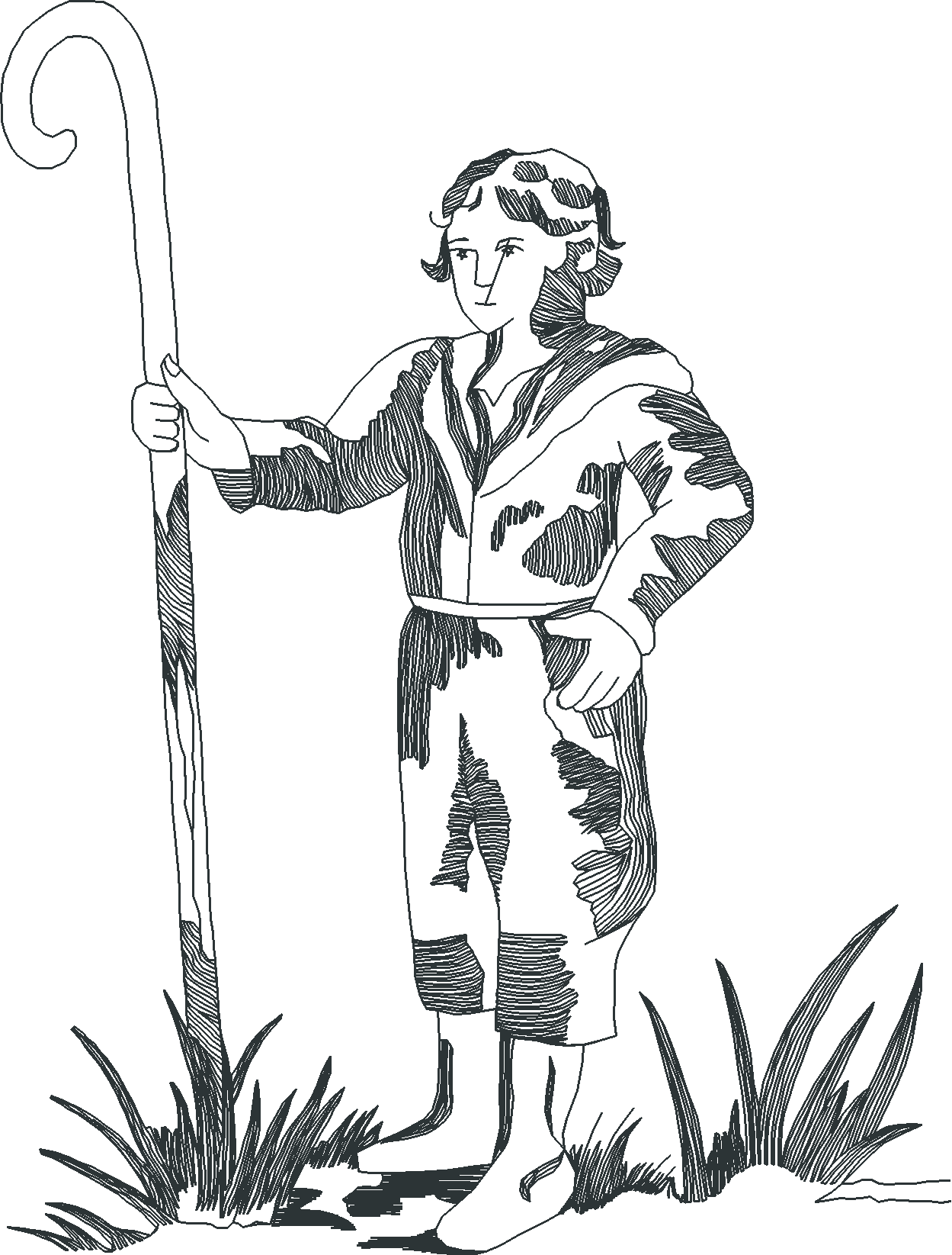 Jumbo - Toile 1  (11)