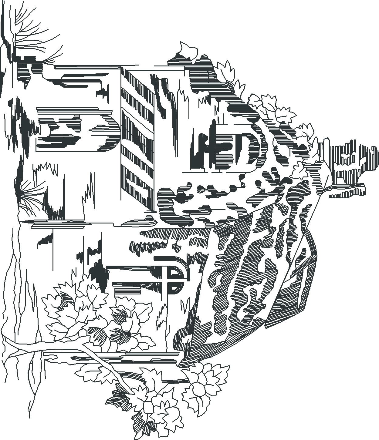 Jumbo - Toile 1  (15)