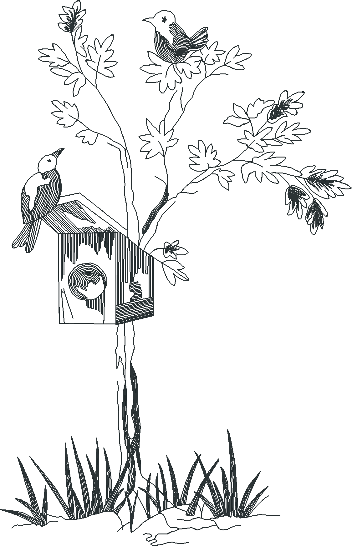 Jumbo - Toile 1  (17)