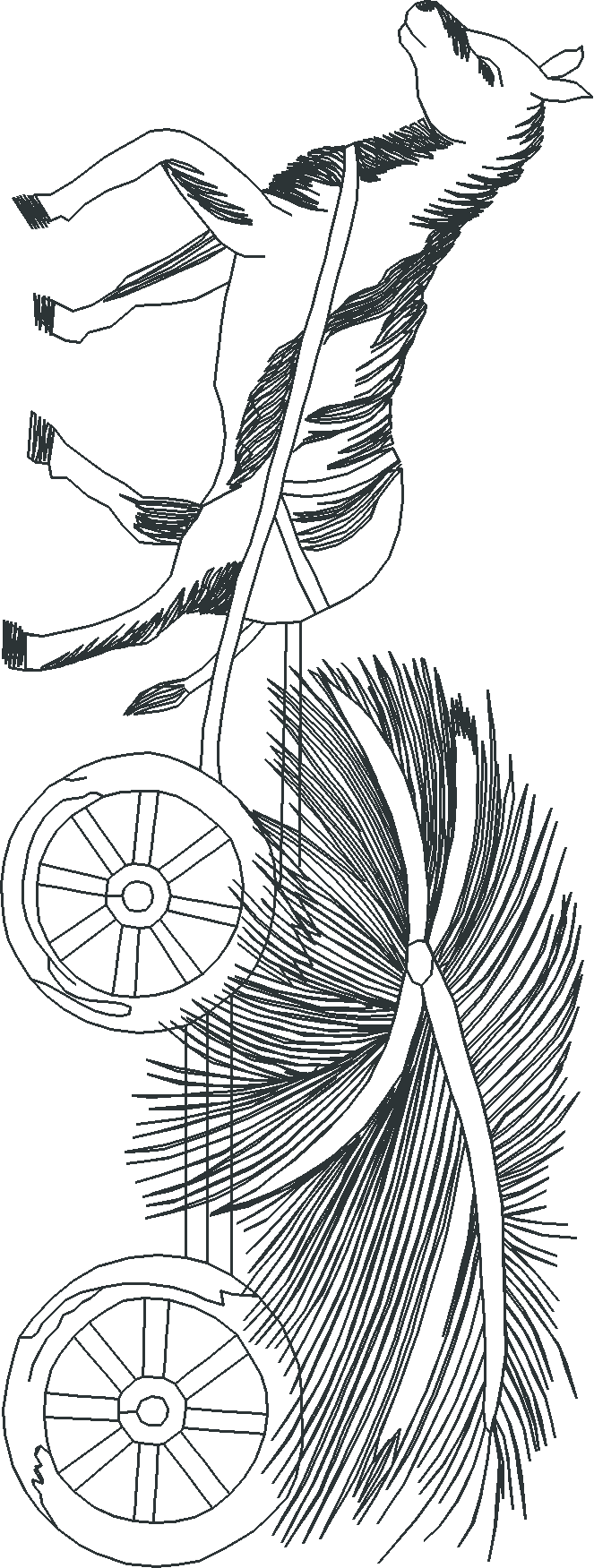 Jumbo - Toile 1  (3)