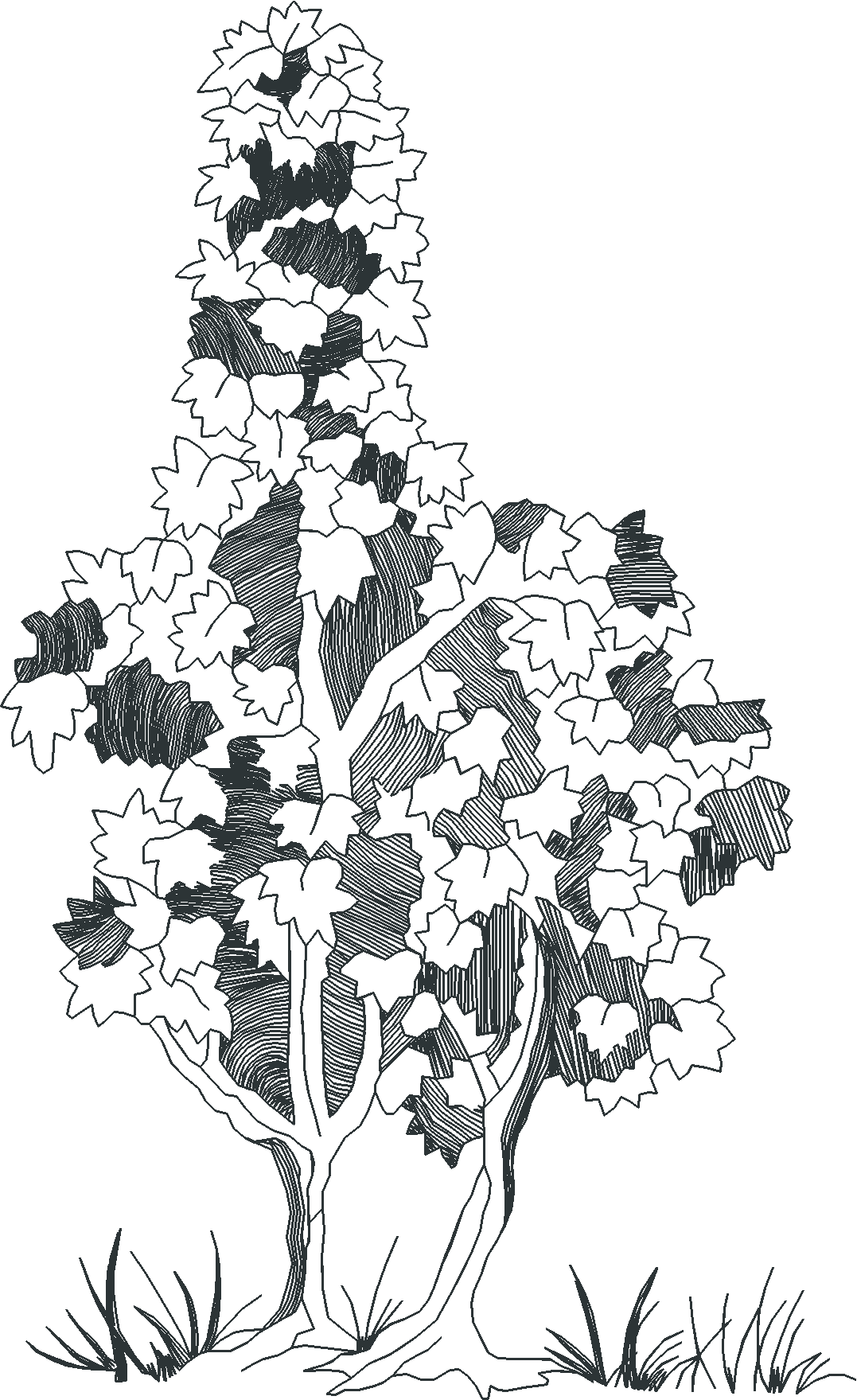 Jumbo - Toile 1  (4)