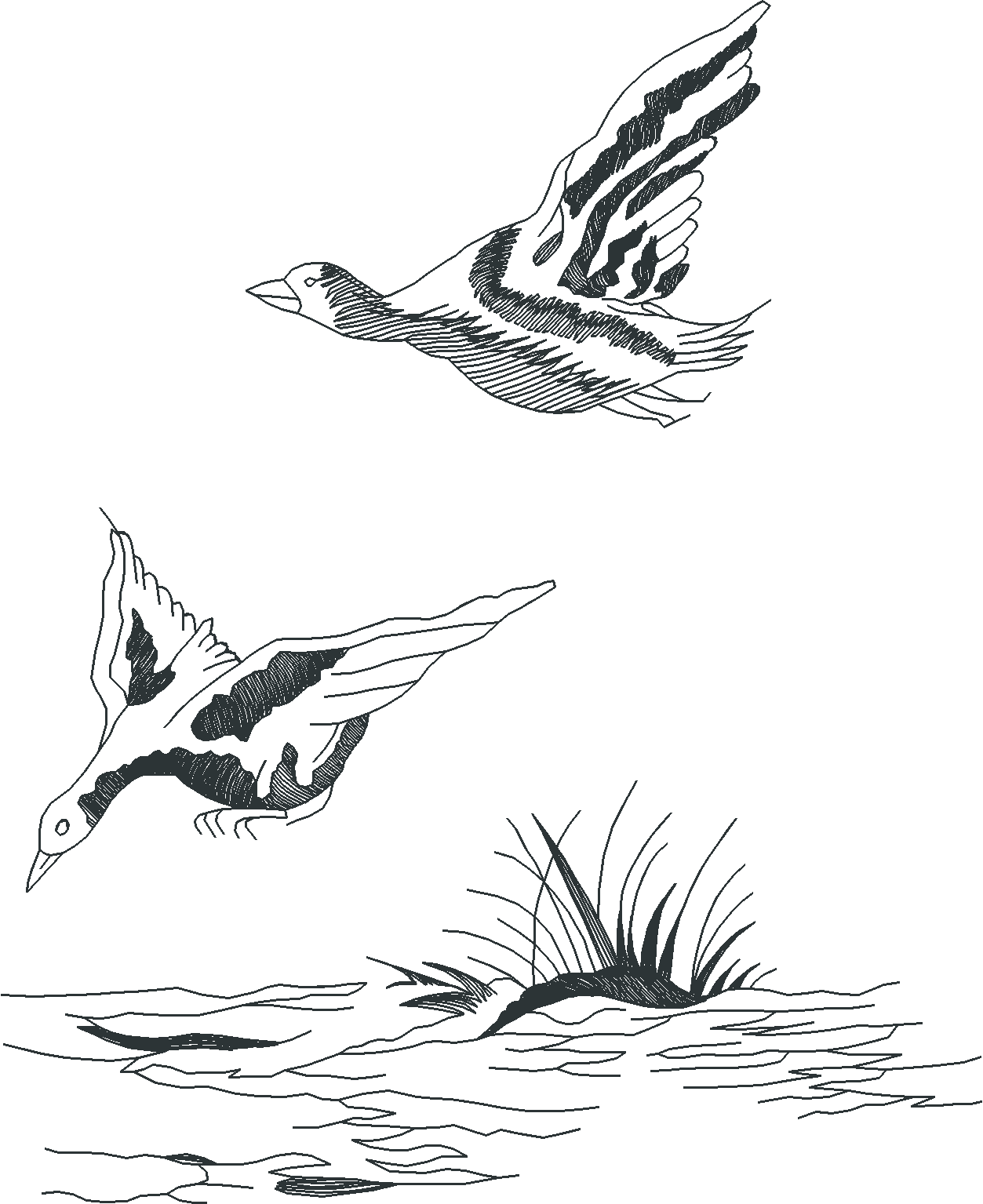 Jumbo - Toile 1  (5)