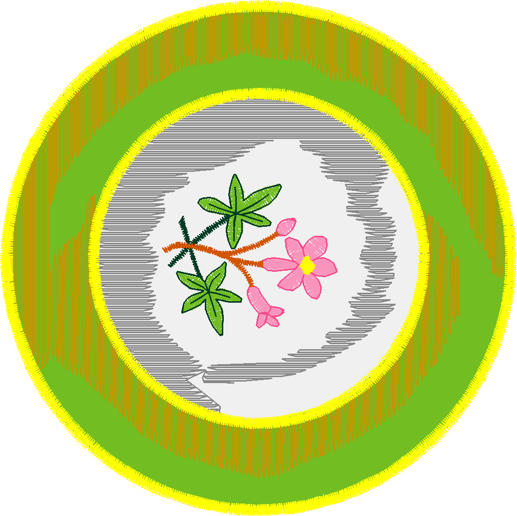 Jumbo - Toile 1  (9)