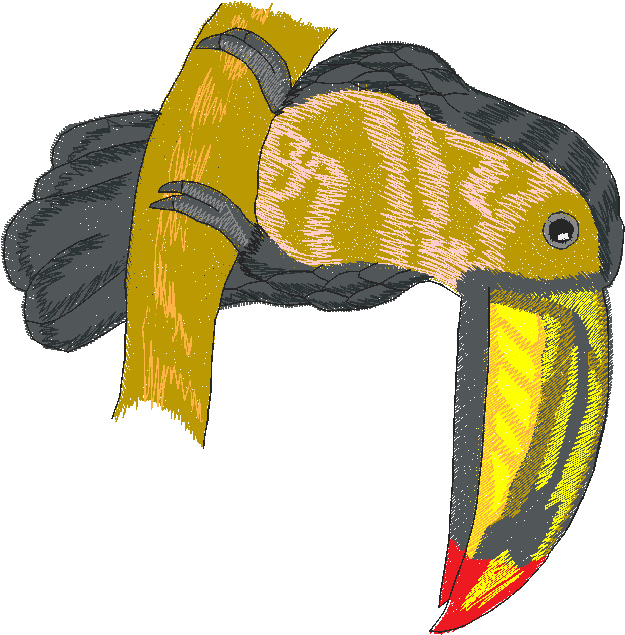 Jumbo - Tropical Birds 1  (10)