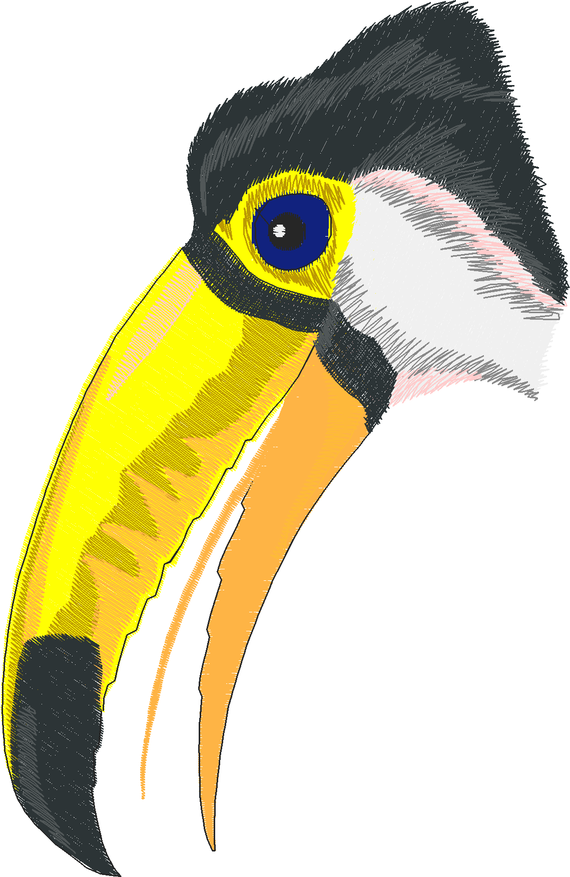 Jumbo - Tropical Birds 1  (3)