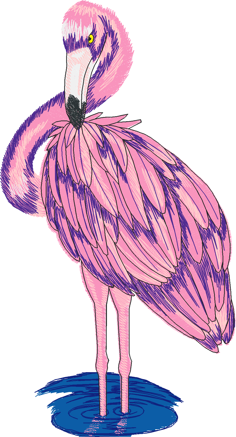 Jumbo - Tropical Birds 1  (4)