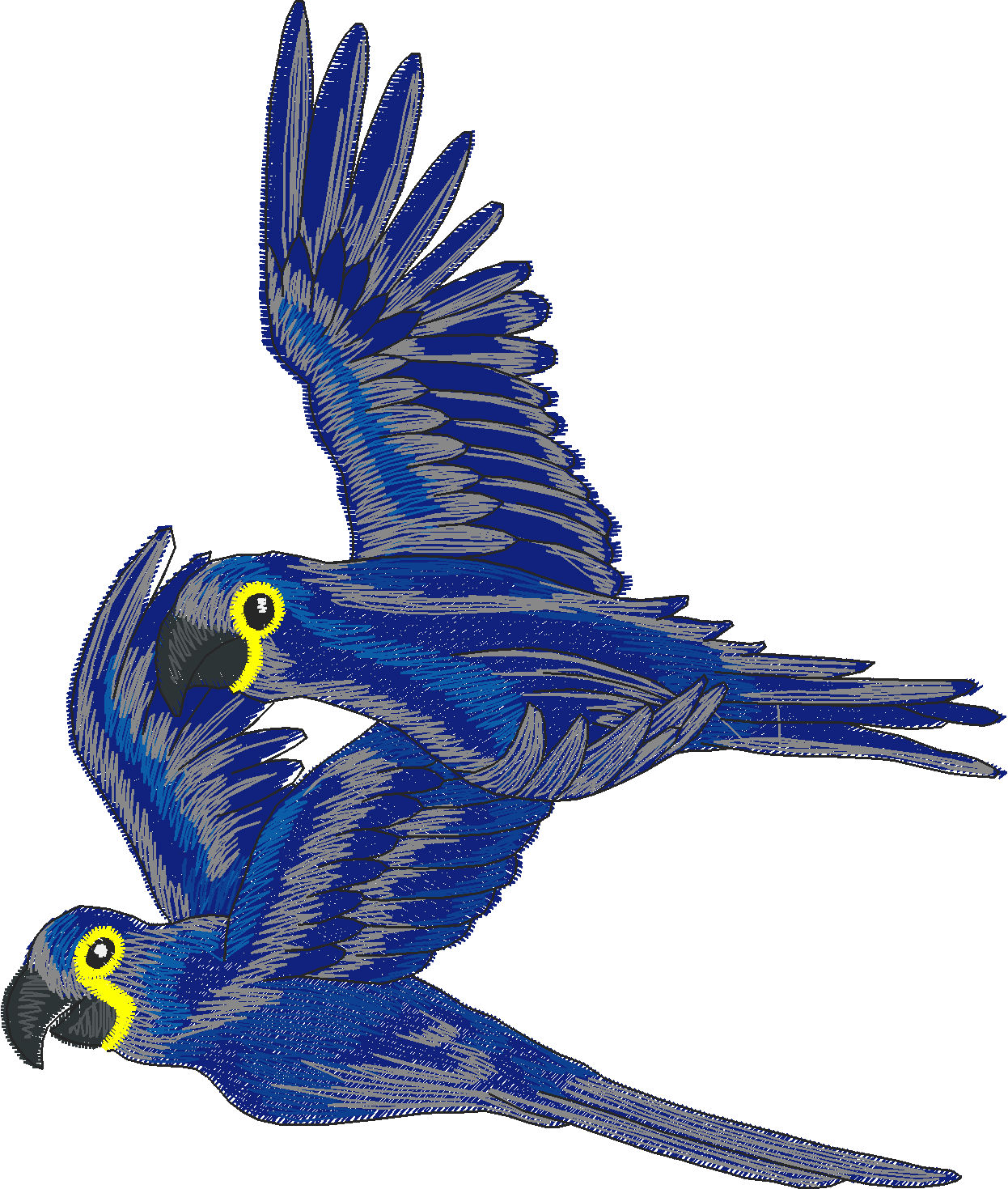 Jumbo - Tropical Birds 1  (5)