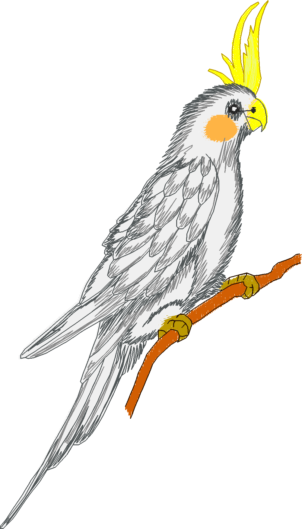 Jumbo - Tropical Birds 1  (7)