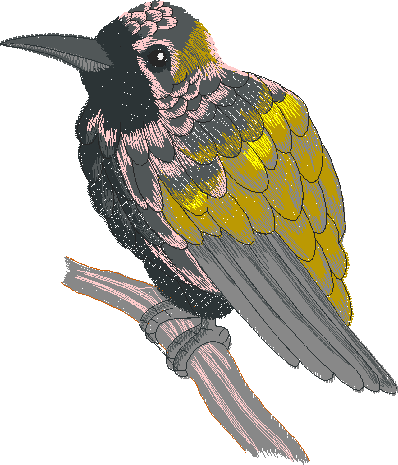 Jumbo - Tropical Birds 1  (8)