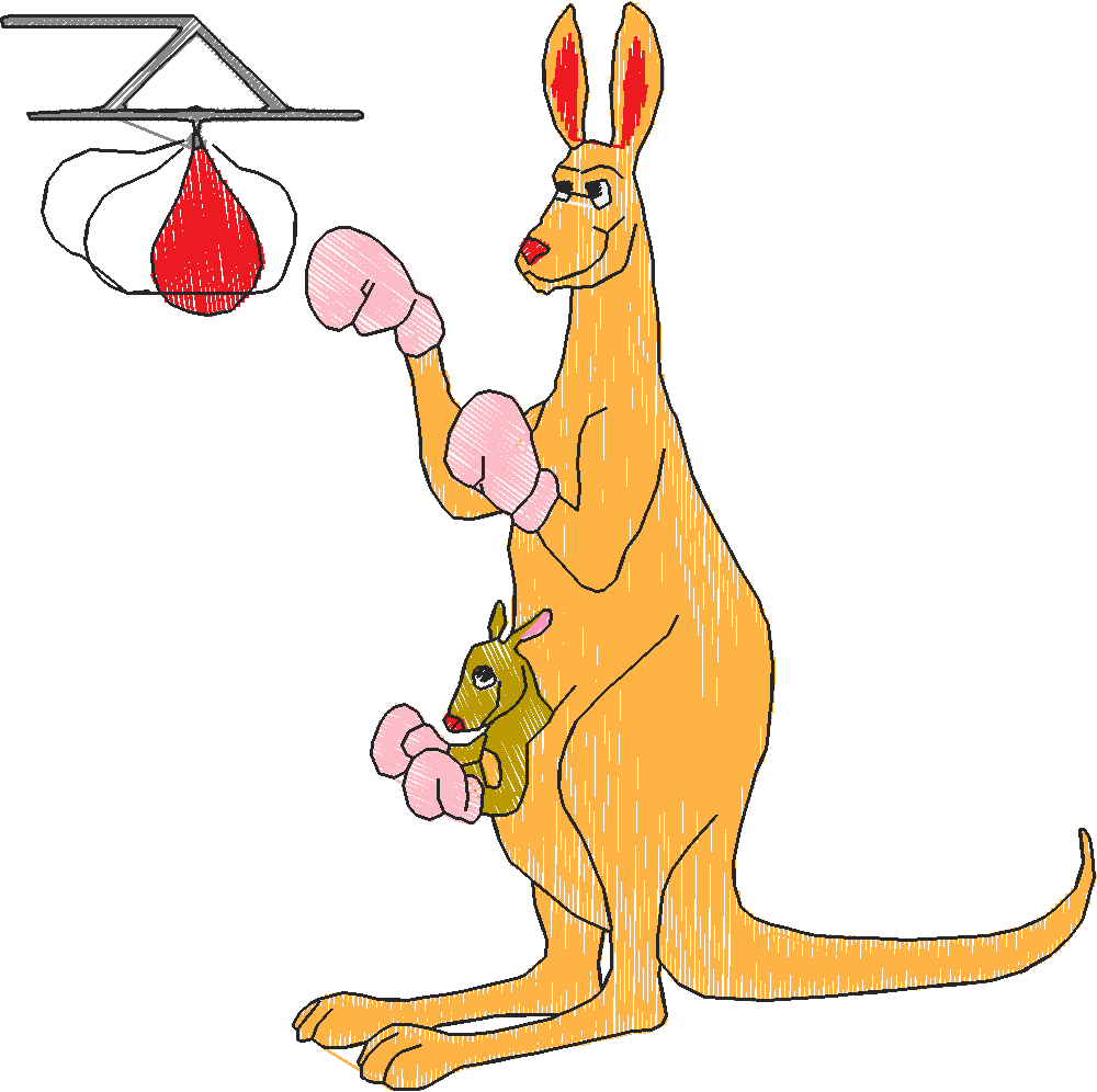 Kangaroos 1 (4)