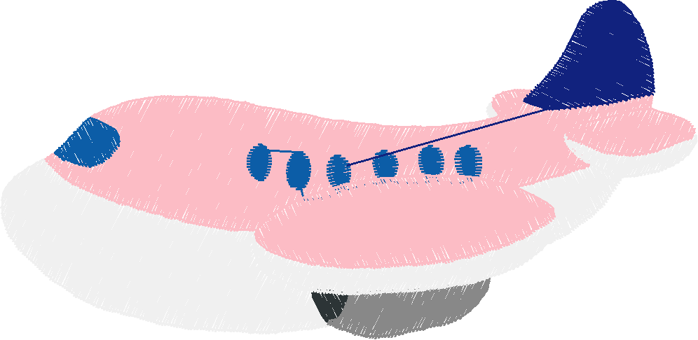 Kids Transport 1 (69)