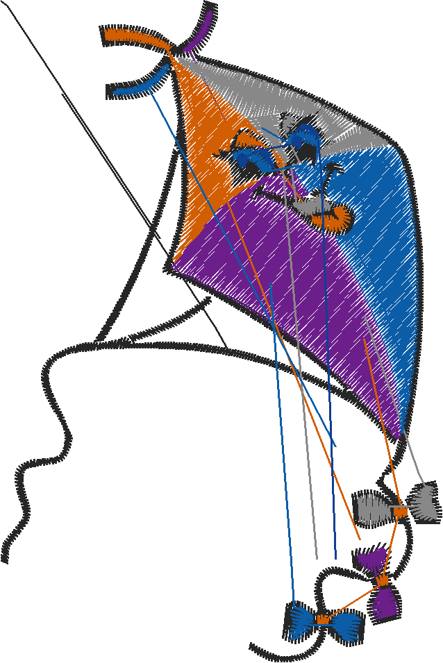 Kites 1 (2)