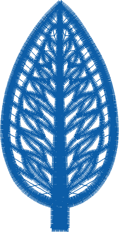 Lace 10 - Festive 1  (12)