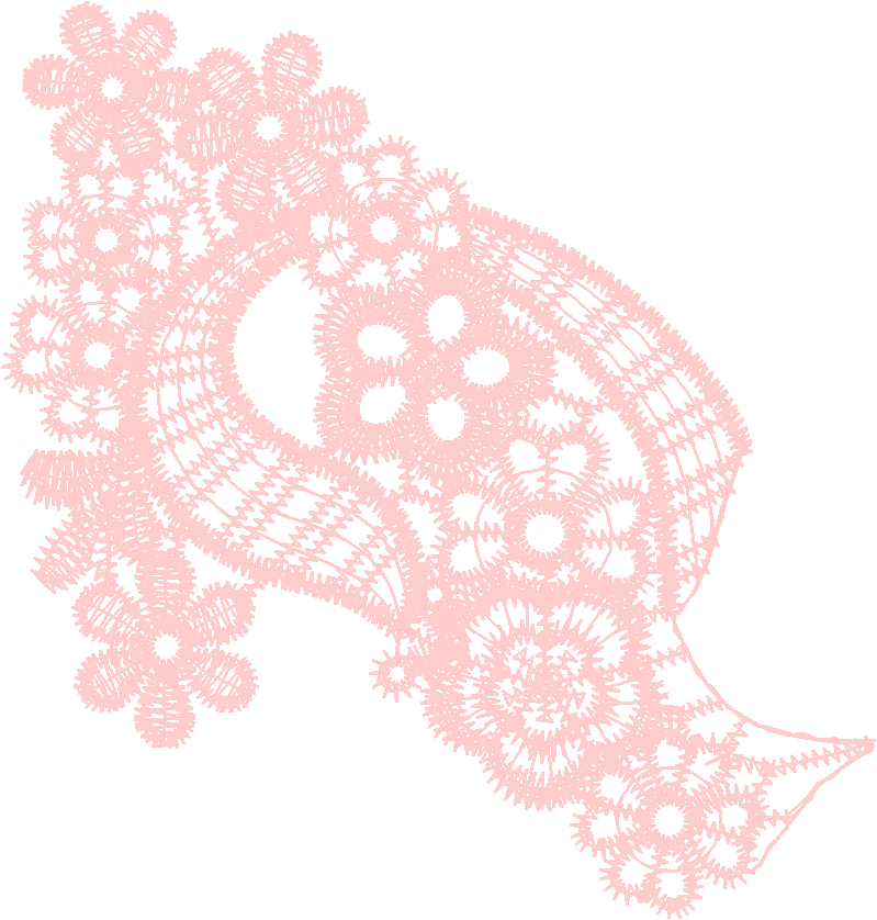 Lace 17 - Just Lace 1  (16)