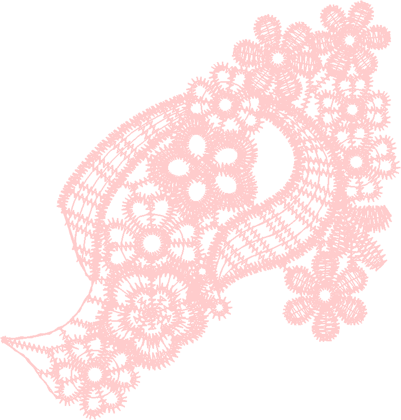 Lace 17 - Just Lace 1  (17)