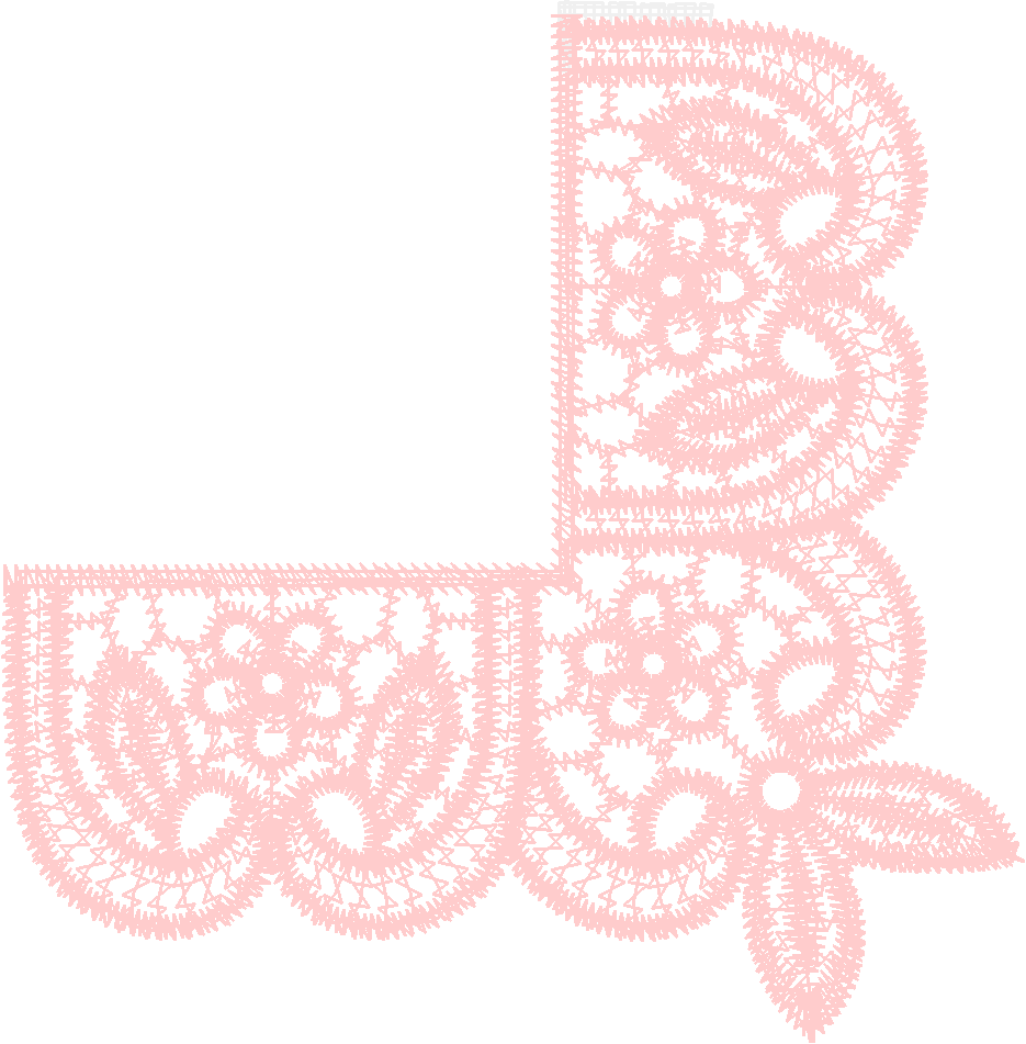 Lace 17 - Just Lace 1  (30)