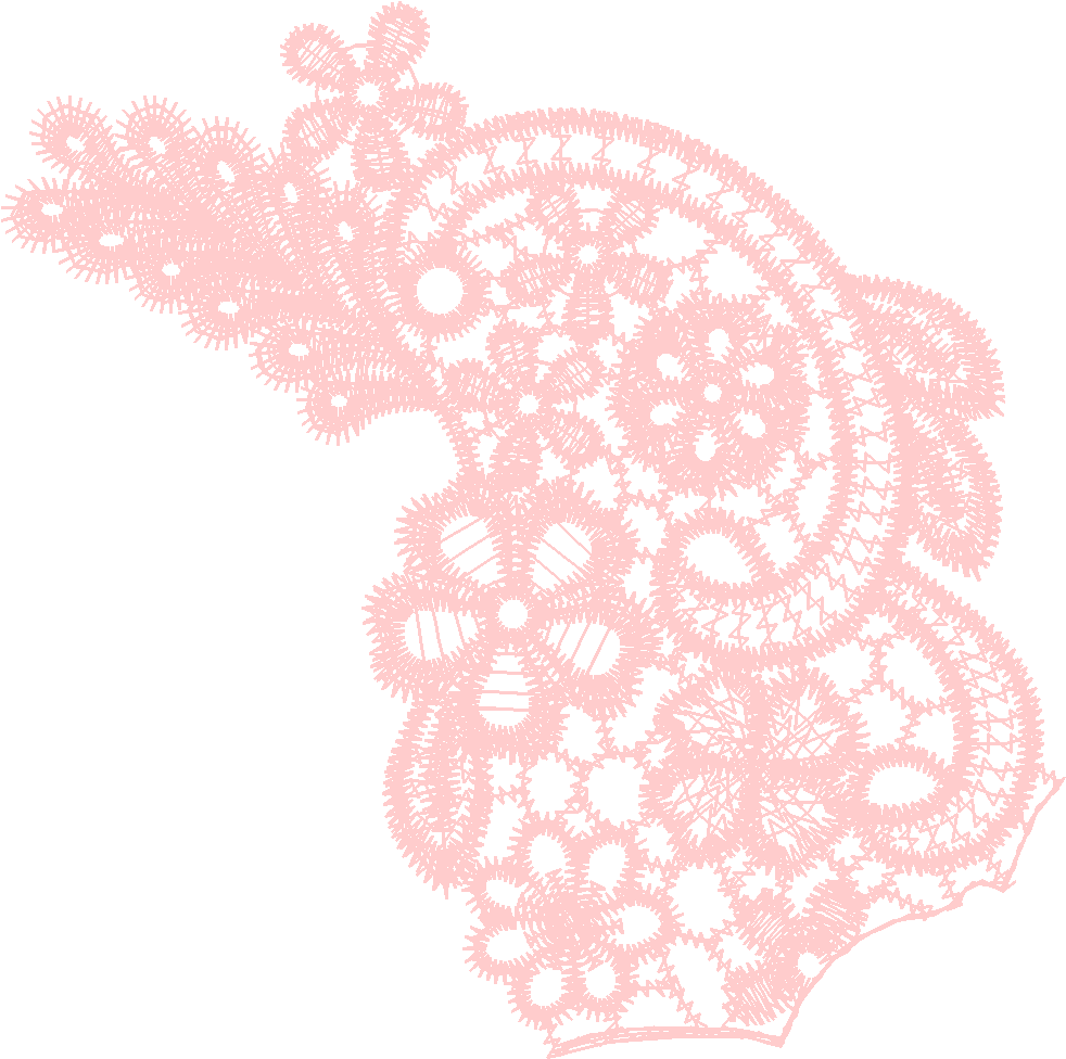 Lace 17 - Just Lace 1  (32)