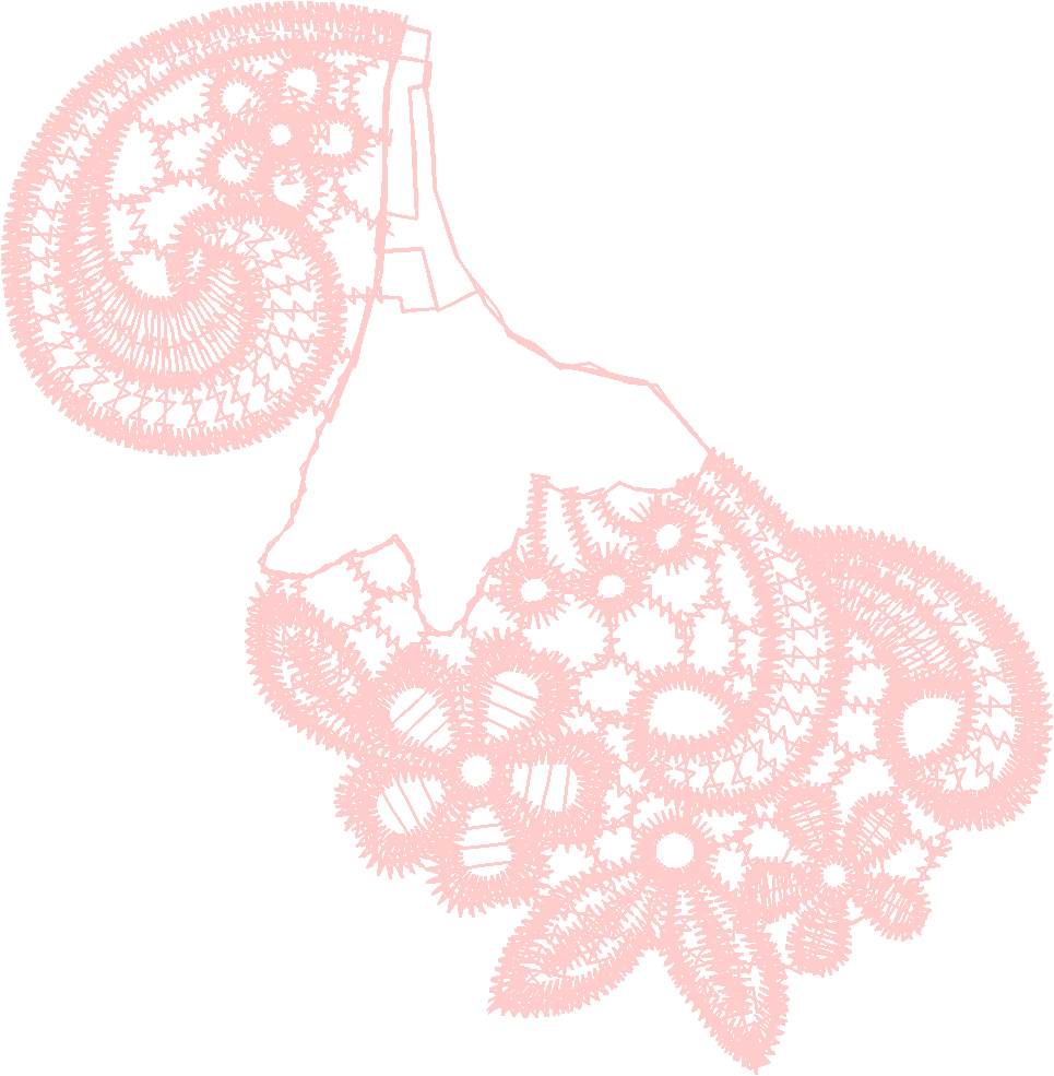 Lace 17 - Just Lace 1  (33)