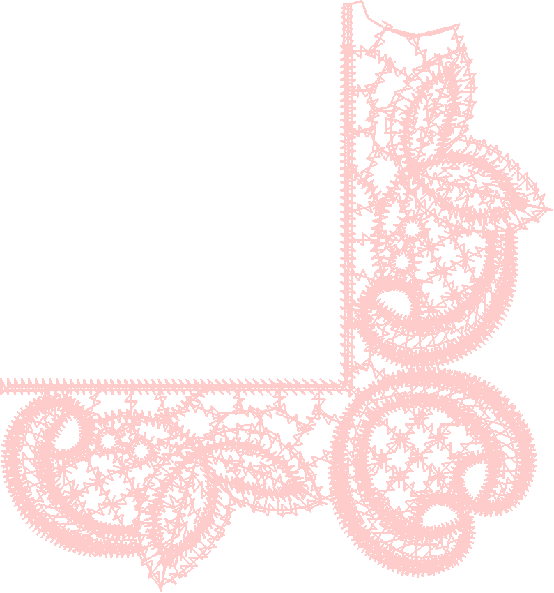 Lace 17 - Just Lace 1  (5)