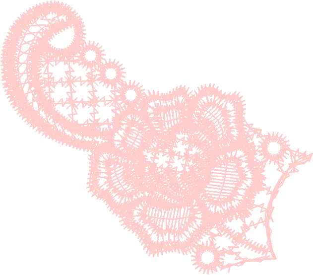 Lace 17 - Just Lace 1  (7)