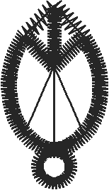 Lace 2 - Baskets 1 (18)