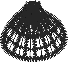 Lace 2 - Baskets 1 (21)