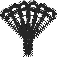 Lace 3 - Baskets 2 (54)