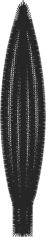 Lace 3 - Baskets 2 (7)