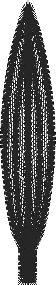 Lace 3 - Baskets 2 (8)