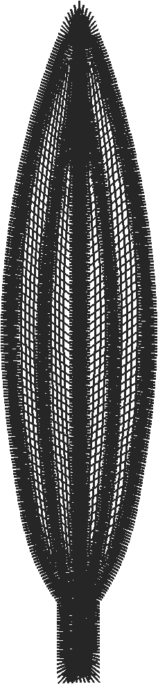 Lace 3 - Baskets 2 (9)