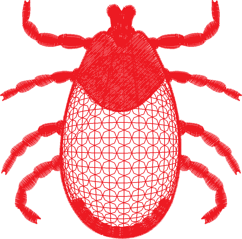 Lace 37 - Insects 1  (11)