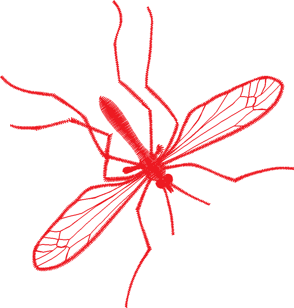 Lace 37 - Insects 1  (4)