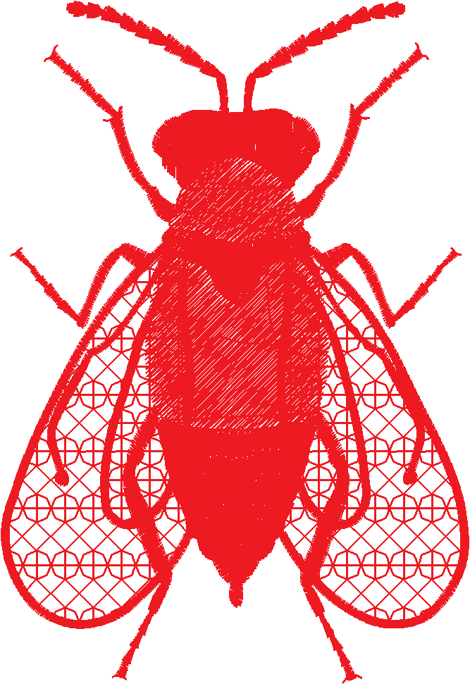 Lace 37 - Insects 1  (6)