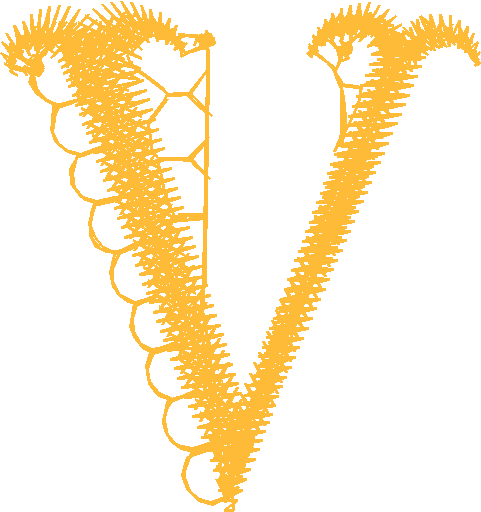 Lace 38 - Effects 1  (45)