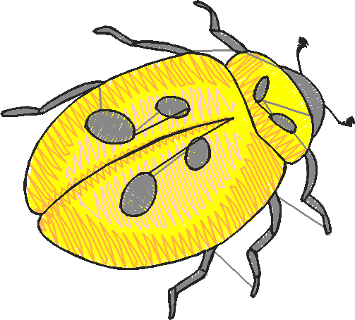 Ladybirds 1  (11)