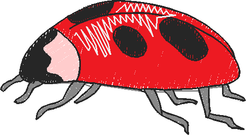 Ladybirds 1  (18)