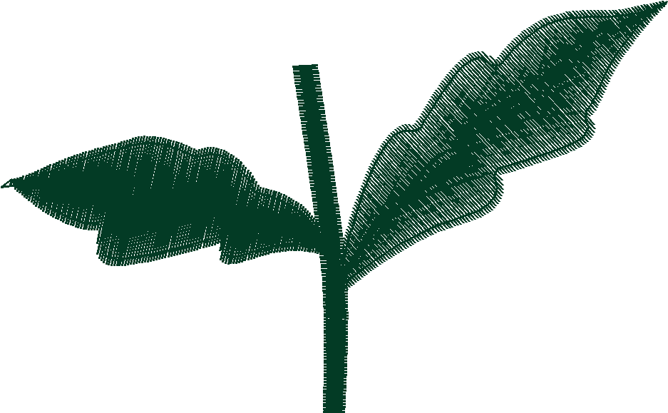 Landscape Elements 1  (23)